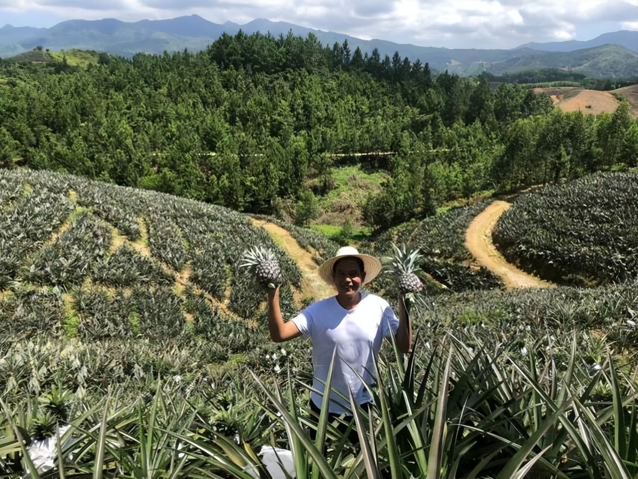 惠来五宝电商怎么样,惠来五宝活动直播间