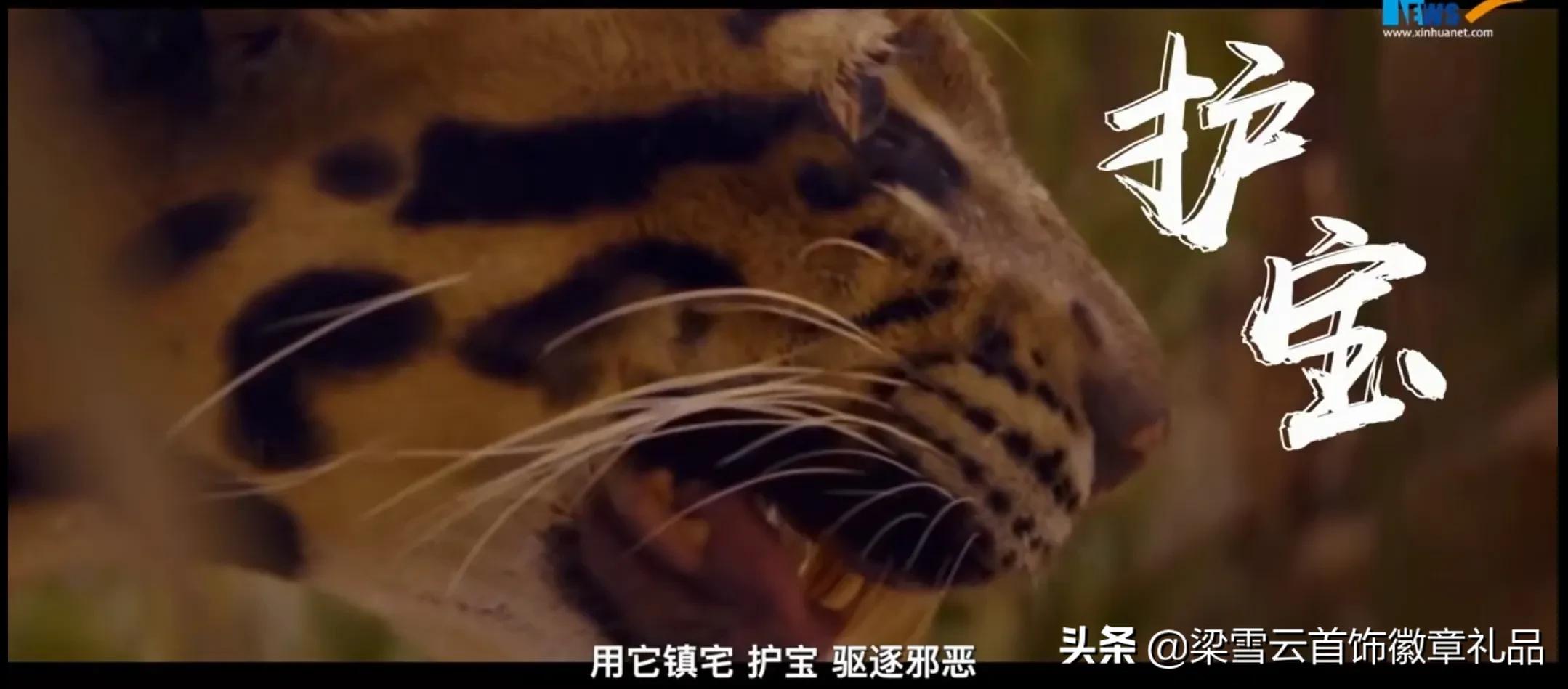 2022年壬寅虎是什么意思,2022壬寅虎年是什么虎