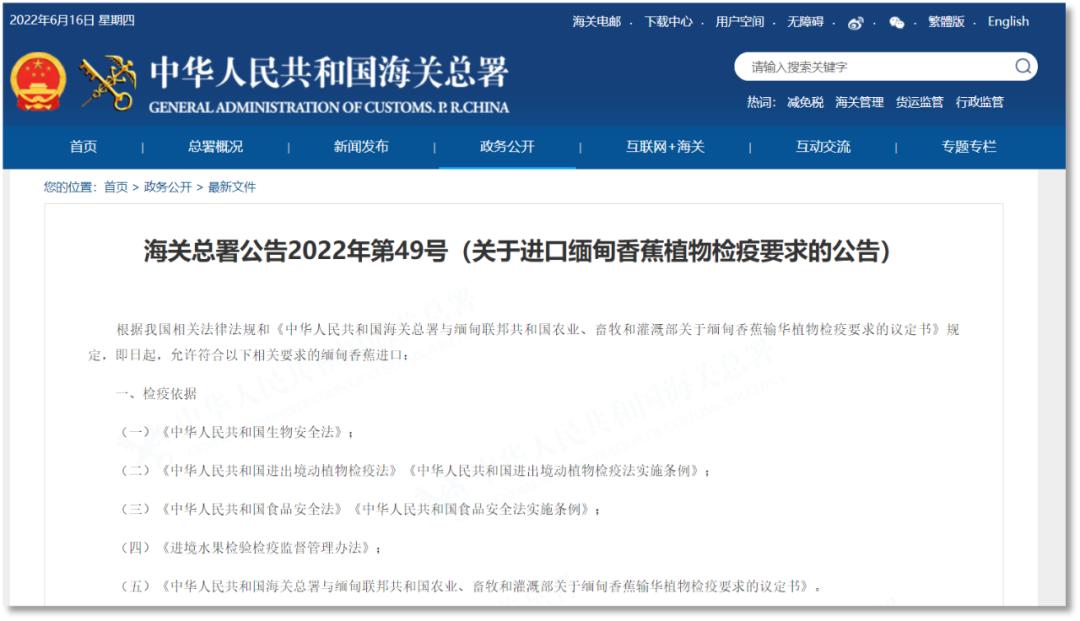 一根香蕉的奇幻旅程,一根香蕉的新奇历程