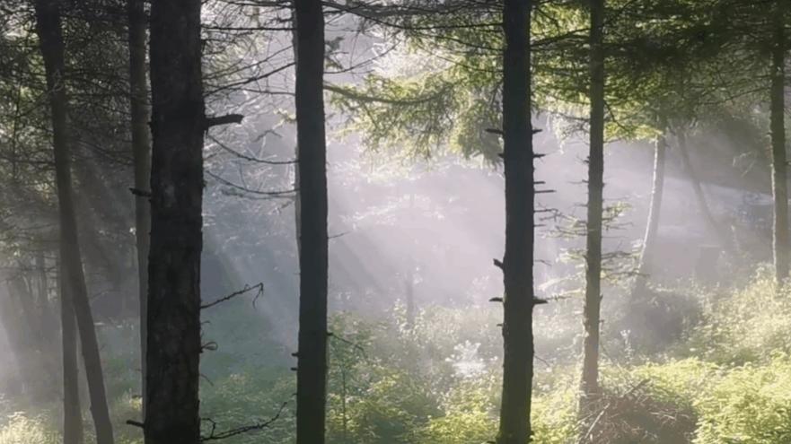 康保县五一哪里好玩,五一康县旅游景点大全