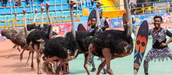 这里有只熊猫会叉腰!——上野的一大波“萌”兽来袭