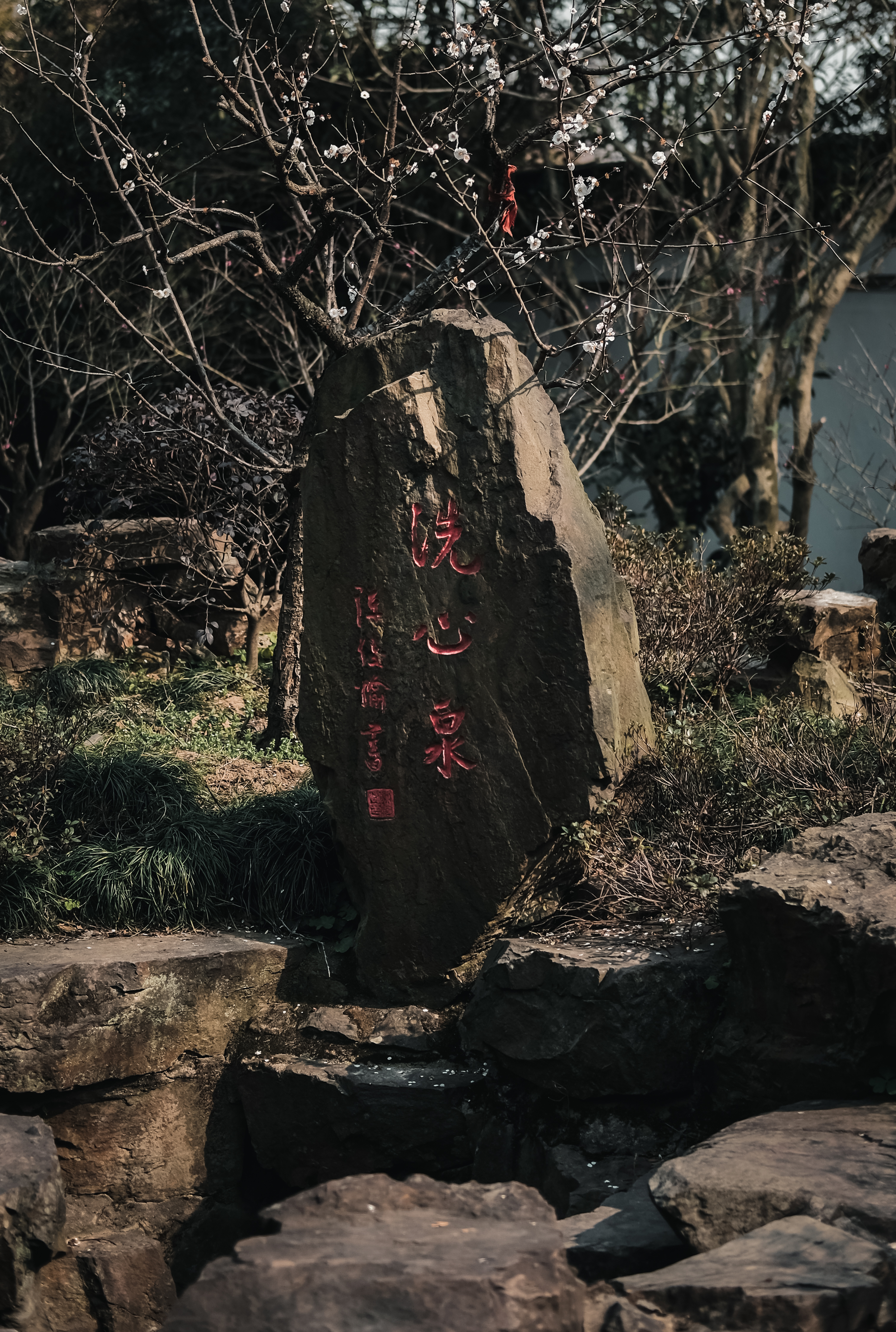 老梅园，你没有游览到；你游览的只是新梅园