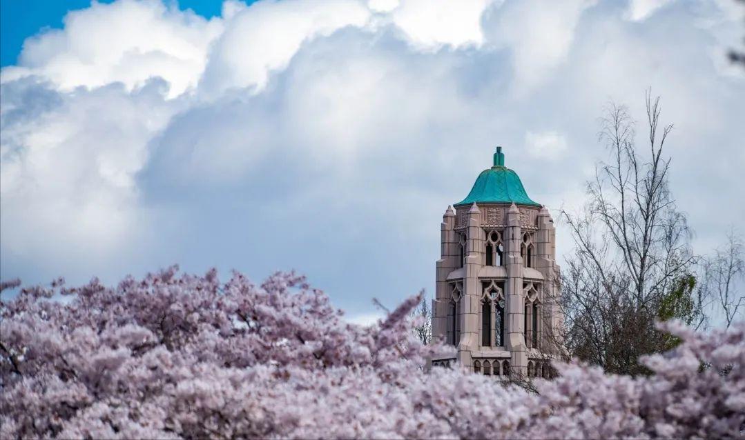 美国留学研究生录取率高的大学,录取率最低的50所美国大学