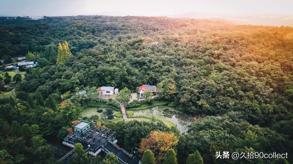 空间|不用做梦了,吉卜力乐园里什么都有