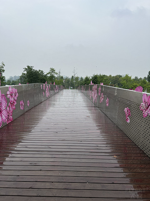 窗含西岭千秋雪成都环球中心雪山,窗含西岭千秋雪魅力成都