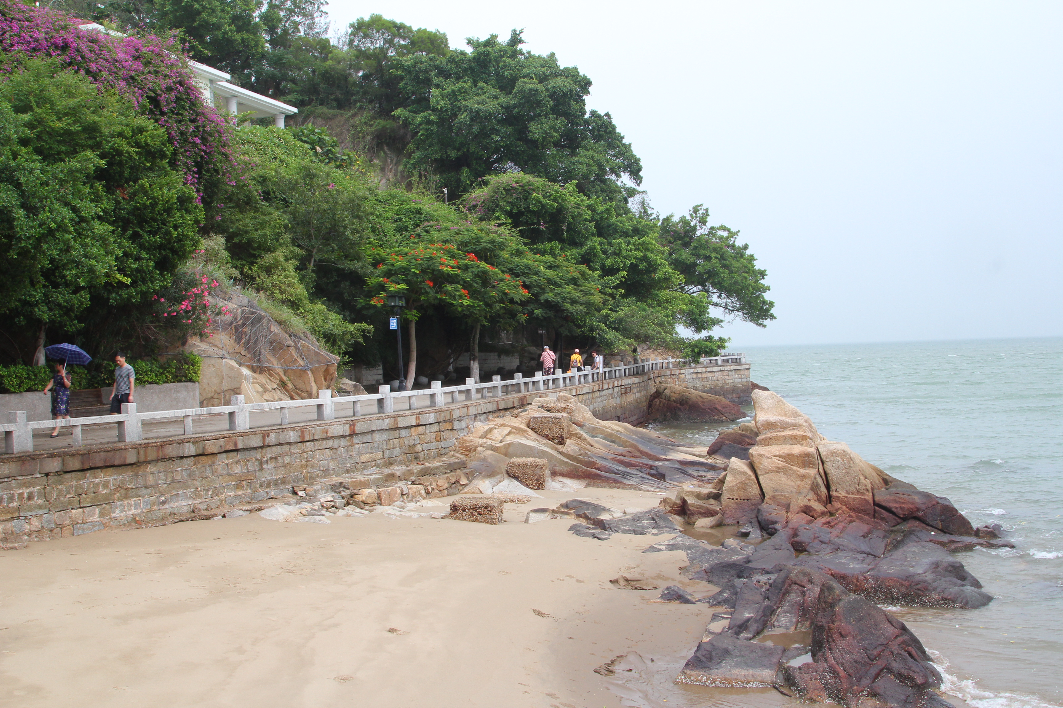 厦门一座来了就不想走的城市,去鼓浪屿不想逛太久
