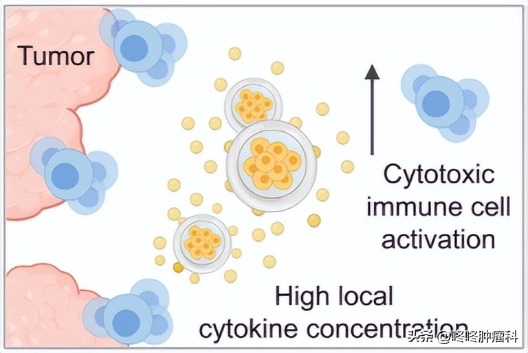 活细胞生产抗癌药,中国科学家改造细胞增强抗肿瘤
