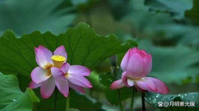 外汇投资的正确方法和技巧,外汇黄金投资最佳方法