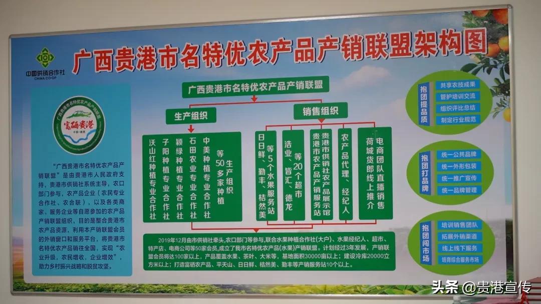 市供销合作社三农服务中心助增收,我为农民办实事