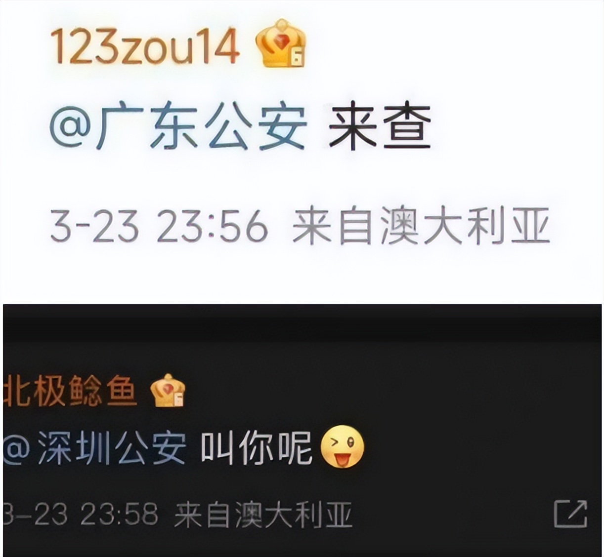 澳洲美女“北极鲶鱼”后续，惹众怒求饶