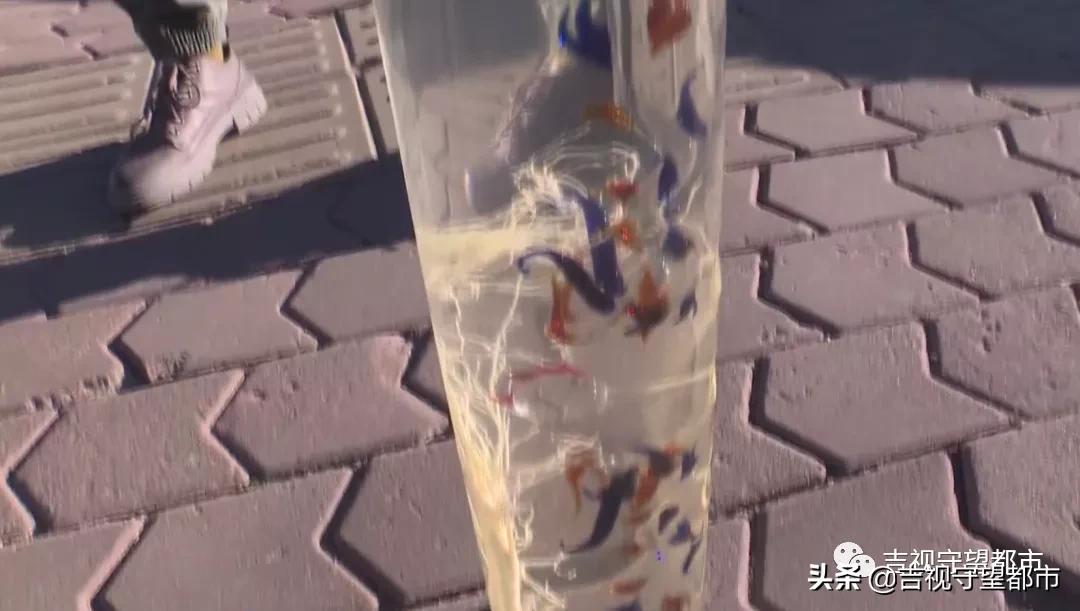 男子2万多买人参,男子2万多买6瓶人参泡酒