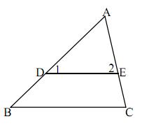 初一数学相交线与平行线讲解,初中数学平行线与相交线复习