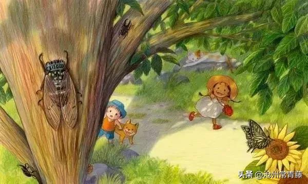 夏至节气感慨,今日夏至话题