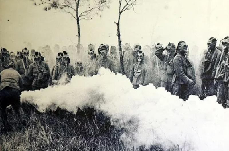 日本侵华老兵在黑龙江,2004年日本老兵到巴彦