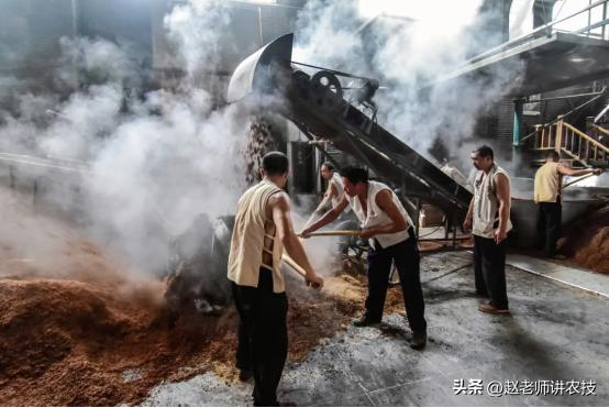 100斤粮食能酿造多少纯粮酒,100斤粮食能酿多少斤53度的酒