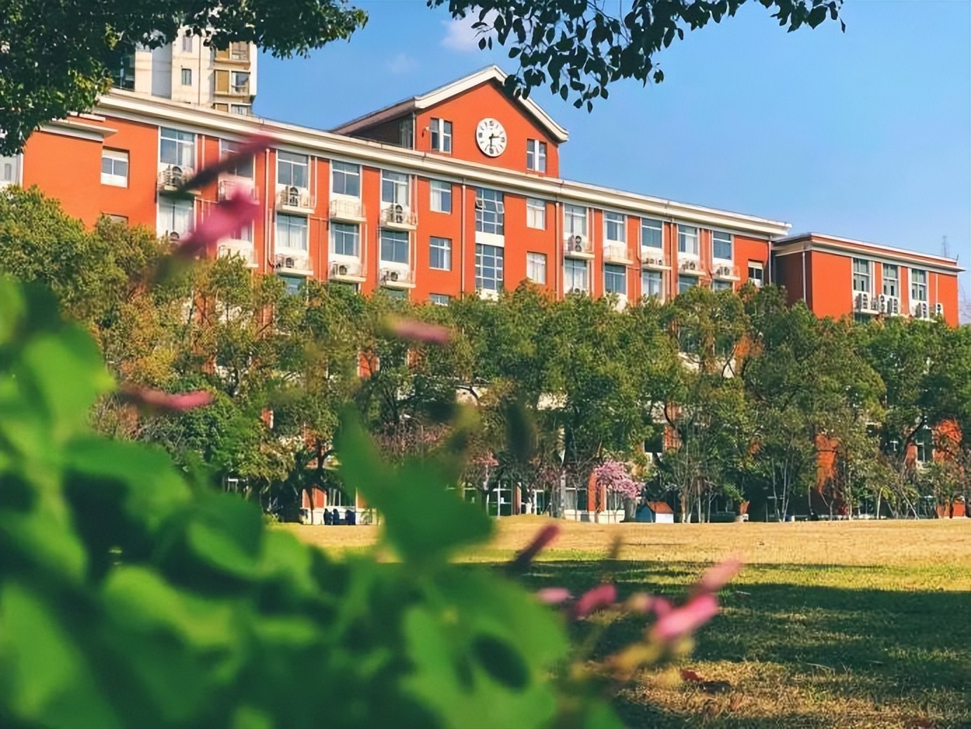 应届毕业生入职外交部,大学生毕业后就职中国外交部