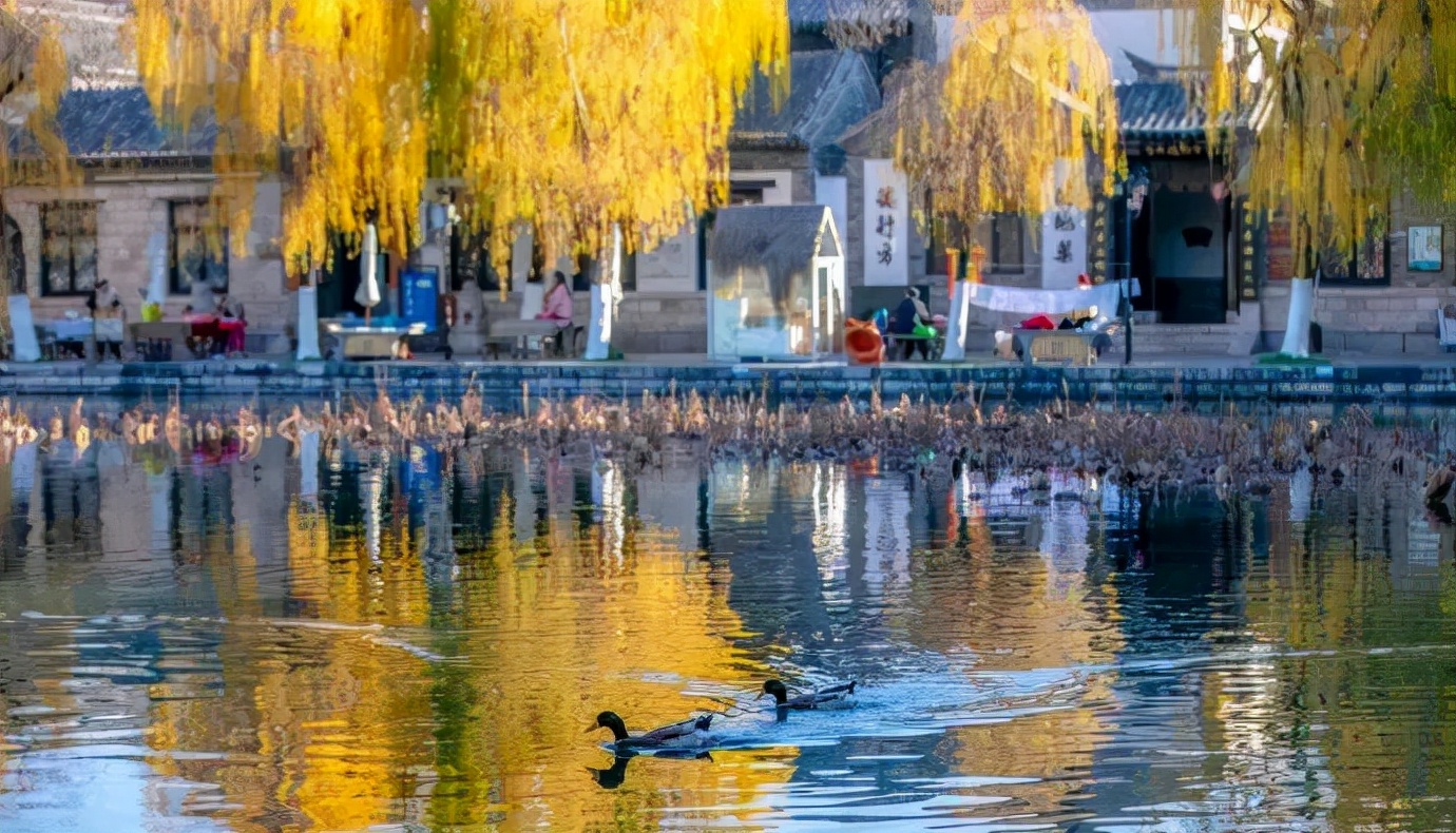 暖冬旅游路线推荐,冬日暖阳旅行攻略