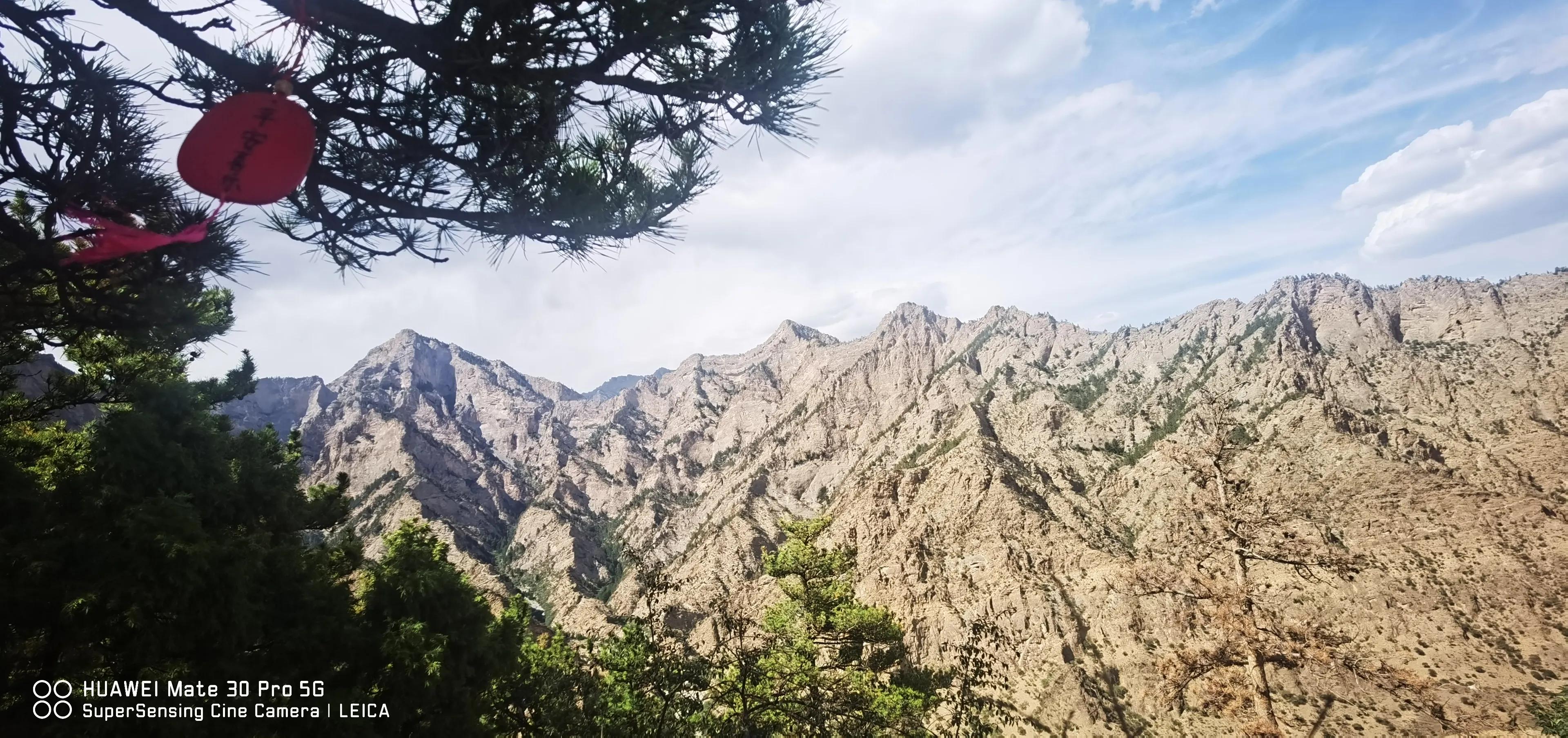 银川我来了视频,宁夏我来了完整视频