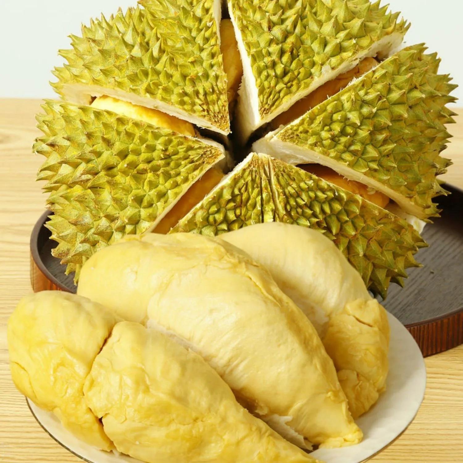 太原老葛辛巴榴莲 (辛巴和太原老葛榴莲谁的好)