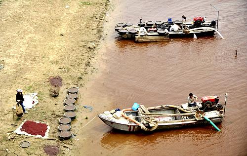 富贵险中求，1晚狂挣上万元，野河打捞红虫是怎样的“黑产”