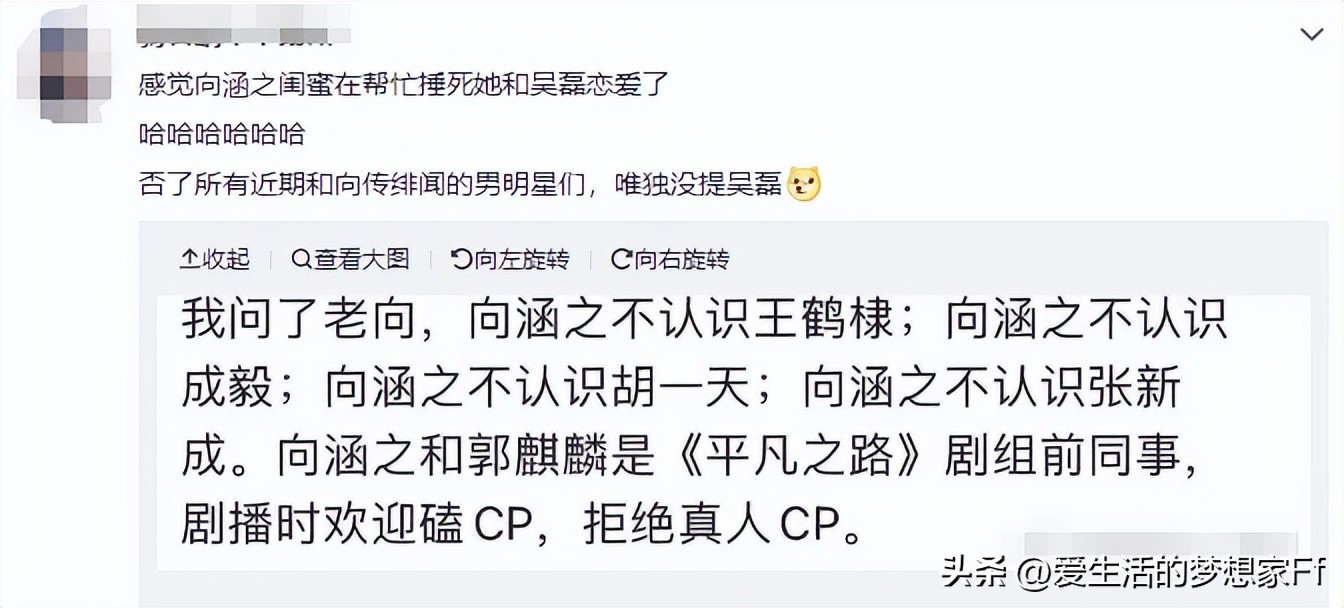 吴磊徐静蕾,吴磊与85年小花的绯闻