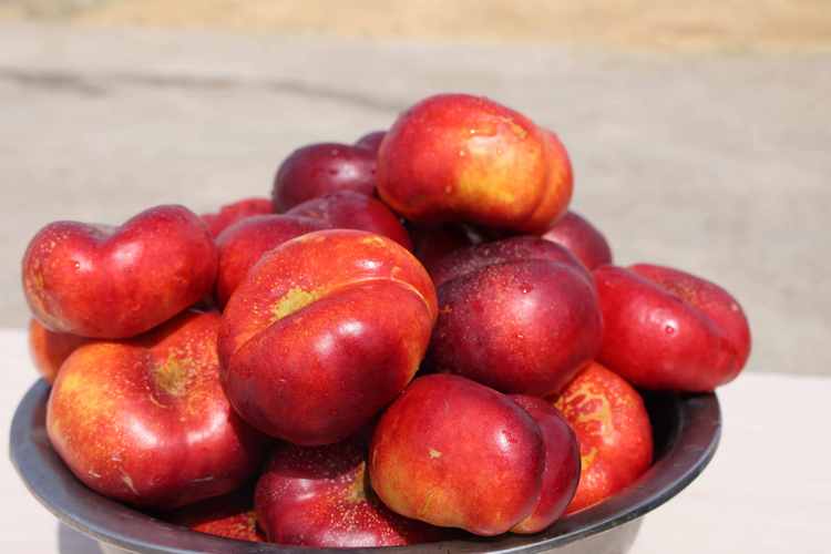 新疆水果中哪些水果最好吃最有名,两种新疆的特色水果