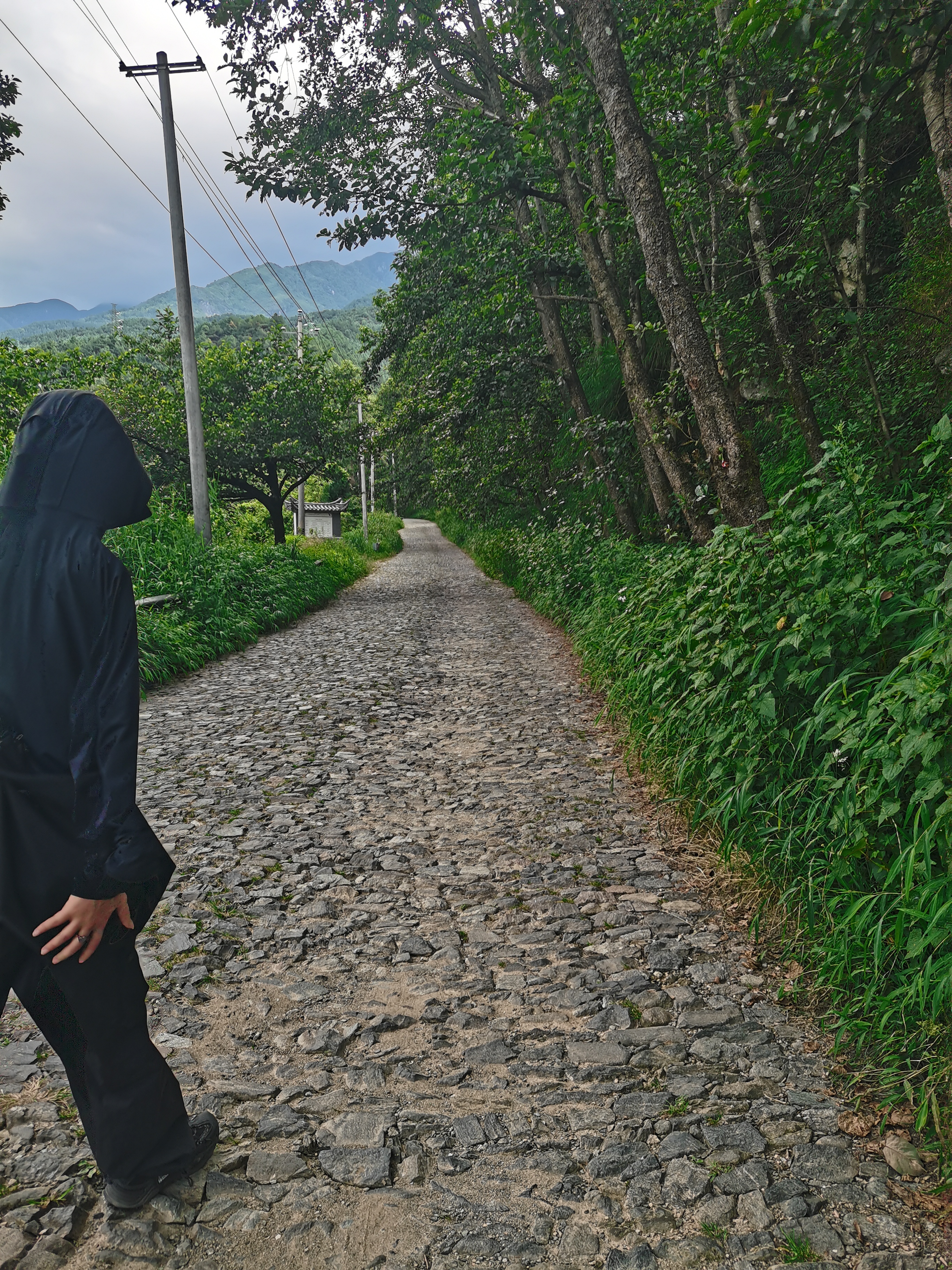 大理的天气很干燥,大理天气太干怎么办