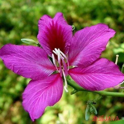 生意合作伙伴不积极怎么办,生意合作伙伴出现问题咋办