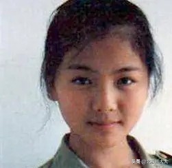 从贤妻到女强人刘涛都经历了什么,贤妻刘涛真实身份