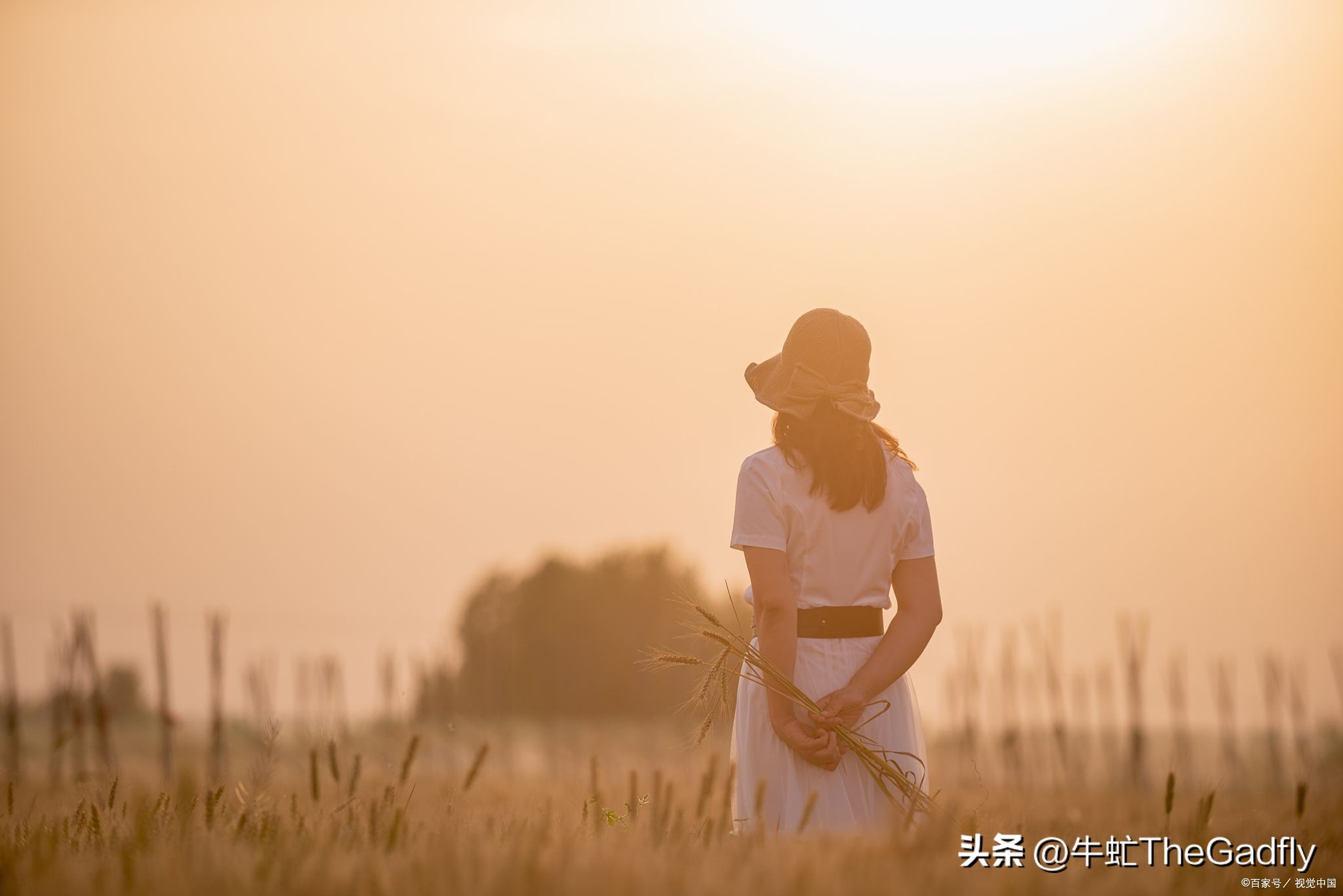 《麦田里的守望者》：探索成长、心理健康和人生意义的经典之作