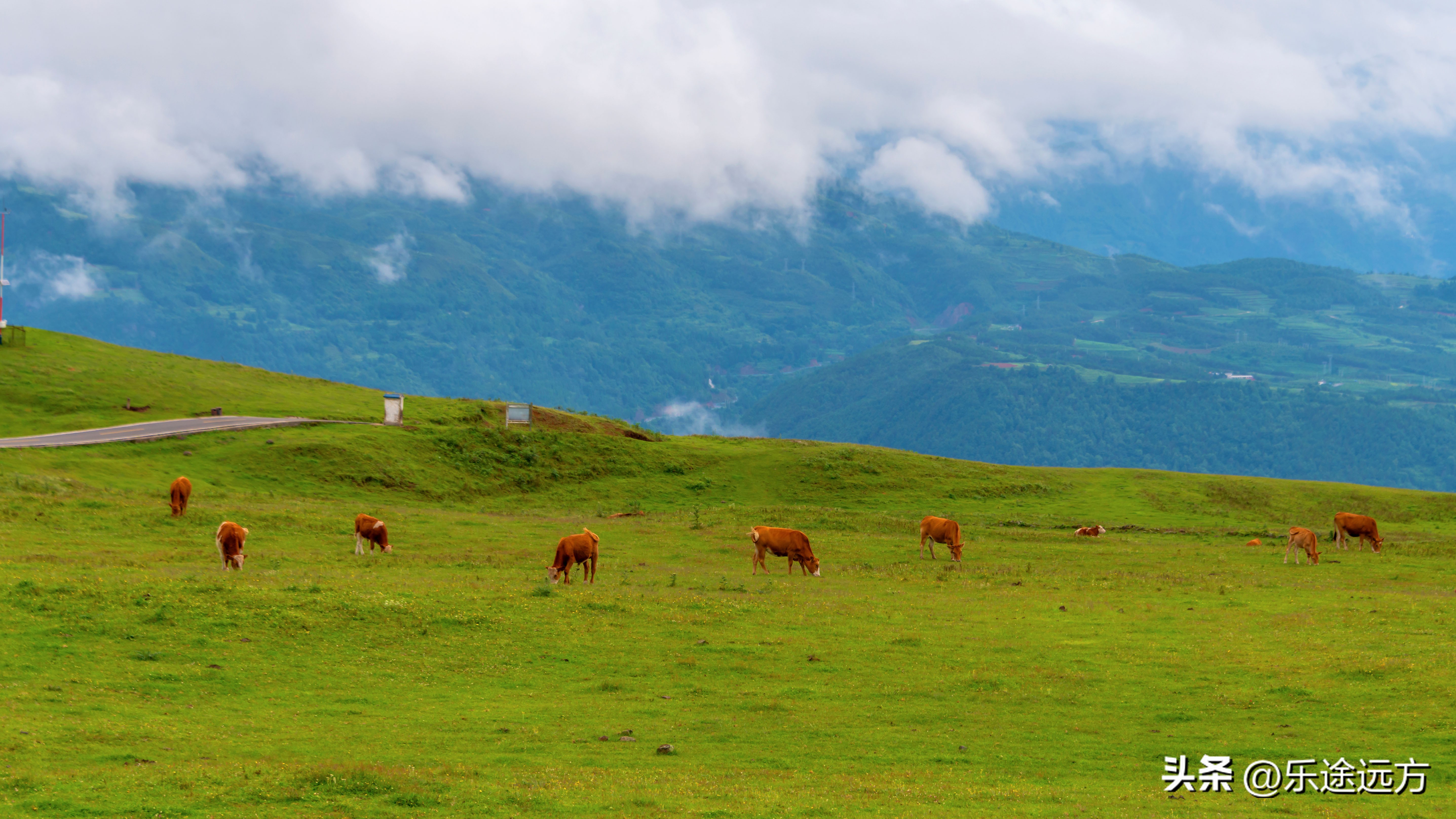贵州六盘水哪里凉快风景又好,十大避暑胜地六盘水