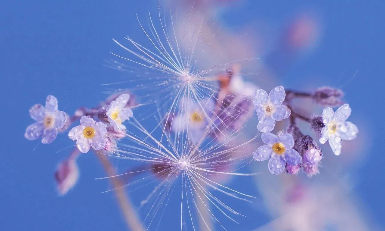 人生万事只有半称心,人生短暂不如万事付之一笑