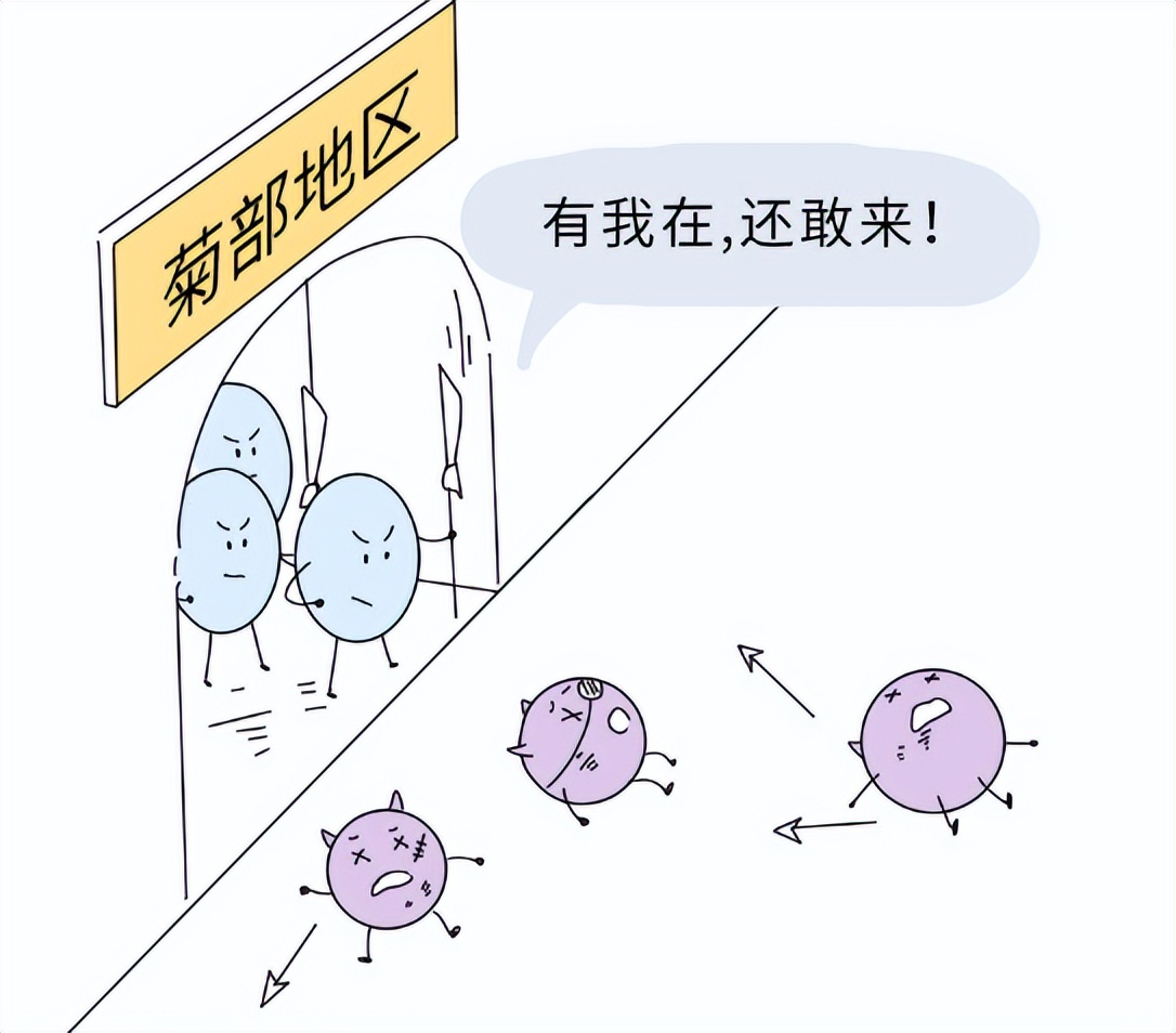 用过患有hpv患者的马桶会被感染吗,使用公共马桶会感染hpv吗