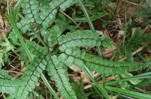 农村做什么小生意赚钱又简单,农村适合做什么小生意投资不多的