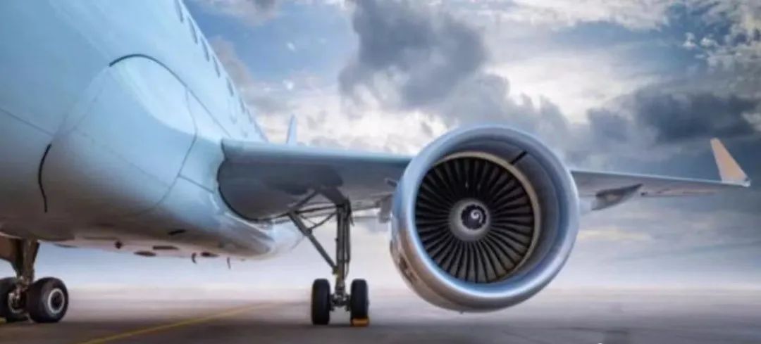 上百人被骗滞留迪士尼,多人被骗至境外