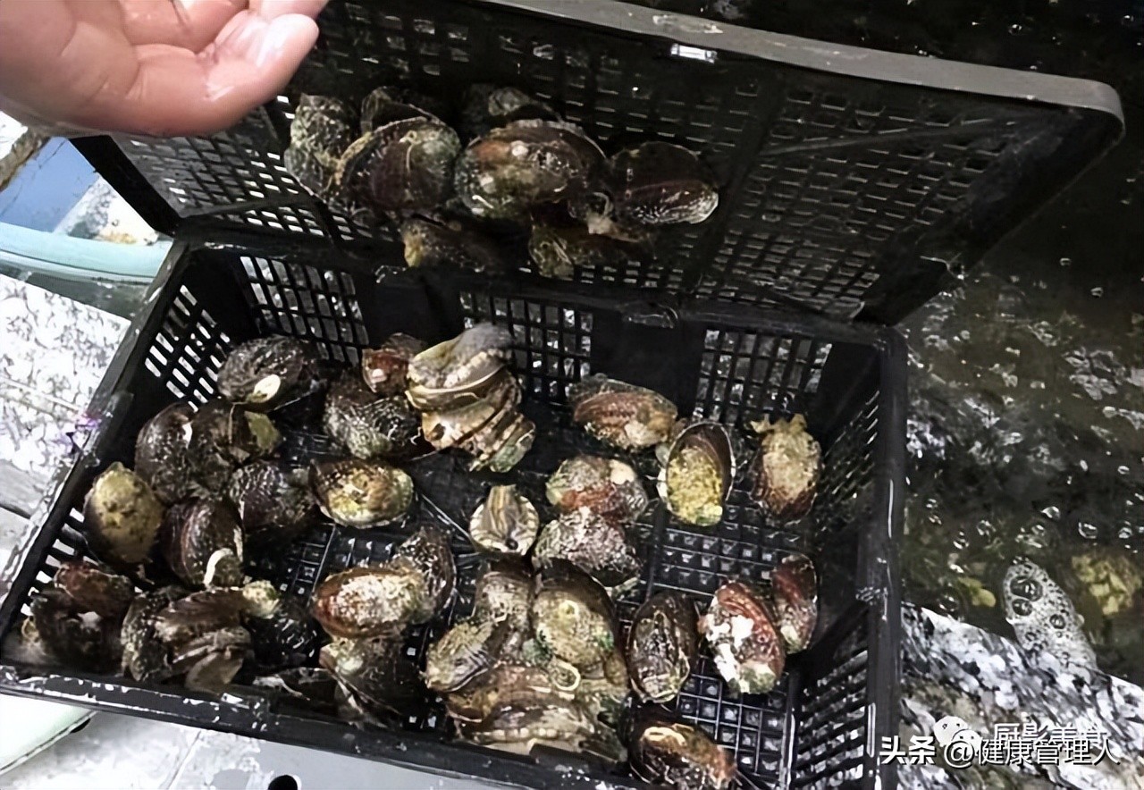 海鲜贝类品种大全及名字,22种海鲜贝类做法大全