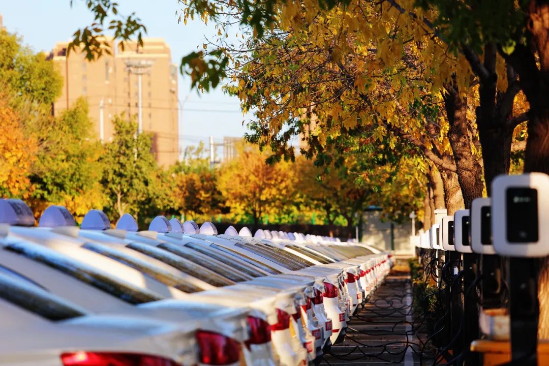 学车自动挡和手动挡难度区别,学车自动为啥比手动贵