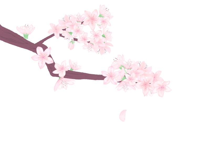 天津开个公司需要什么条件,天津开办公司流程