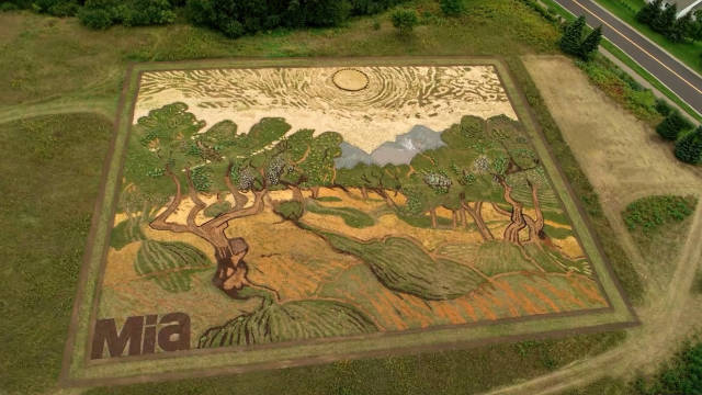 100个难得一见照片,火山爆发时的岩浆图片真实