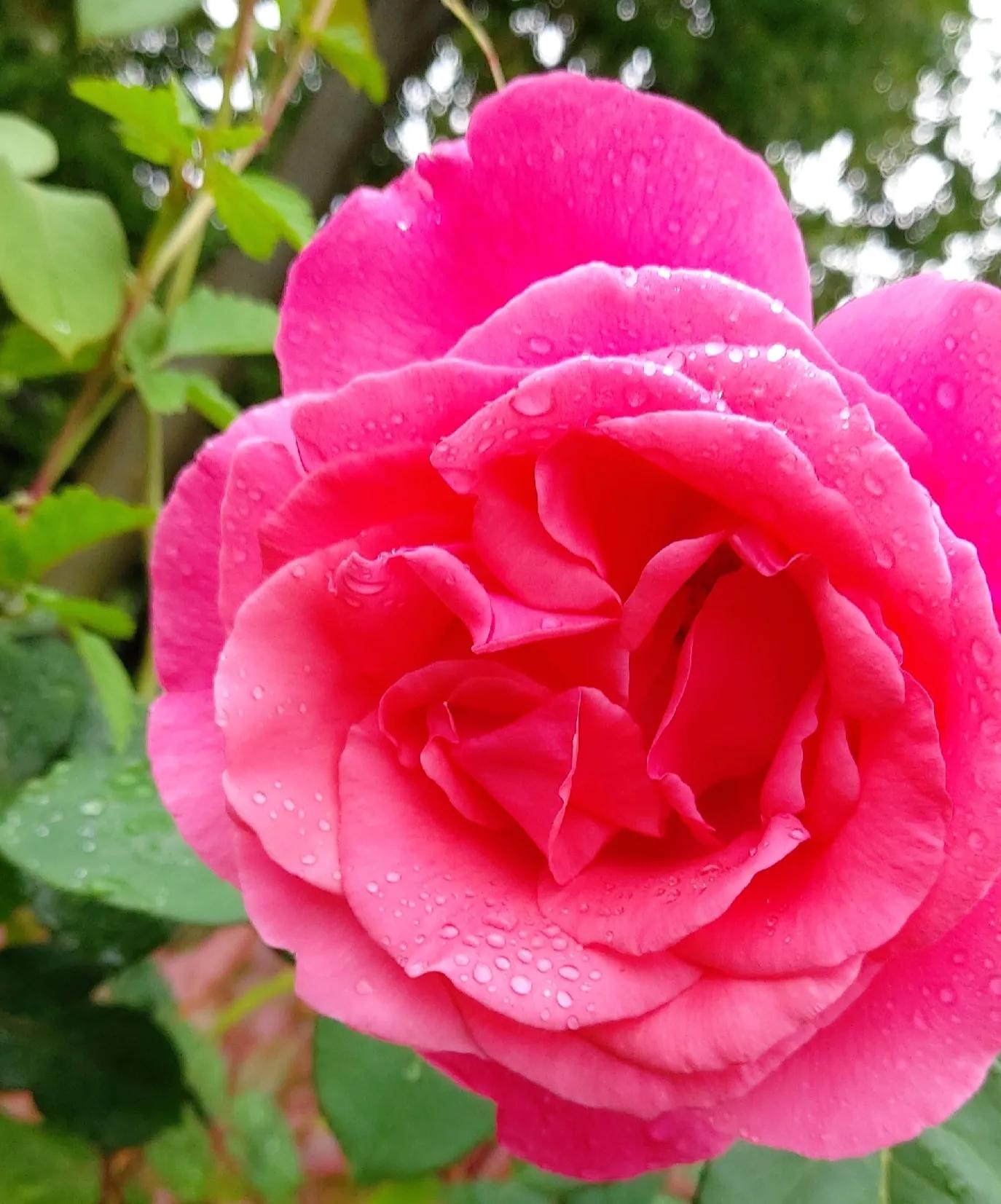 普及你不知的避孕知识,科普了解避孕这回事