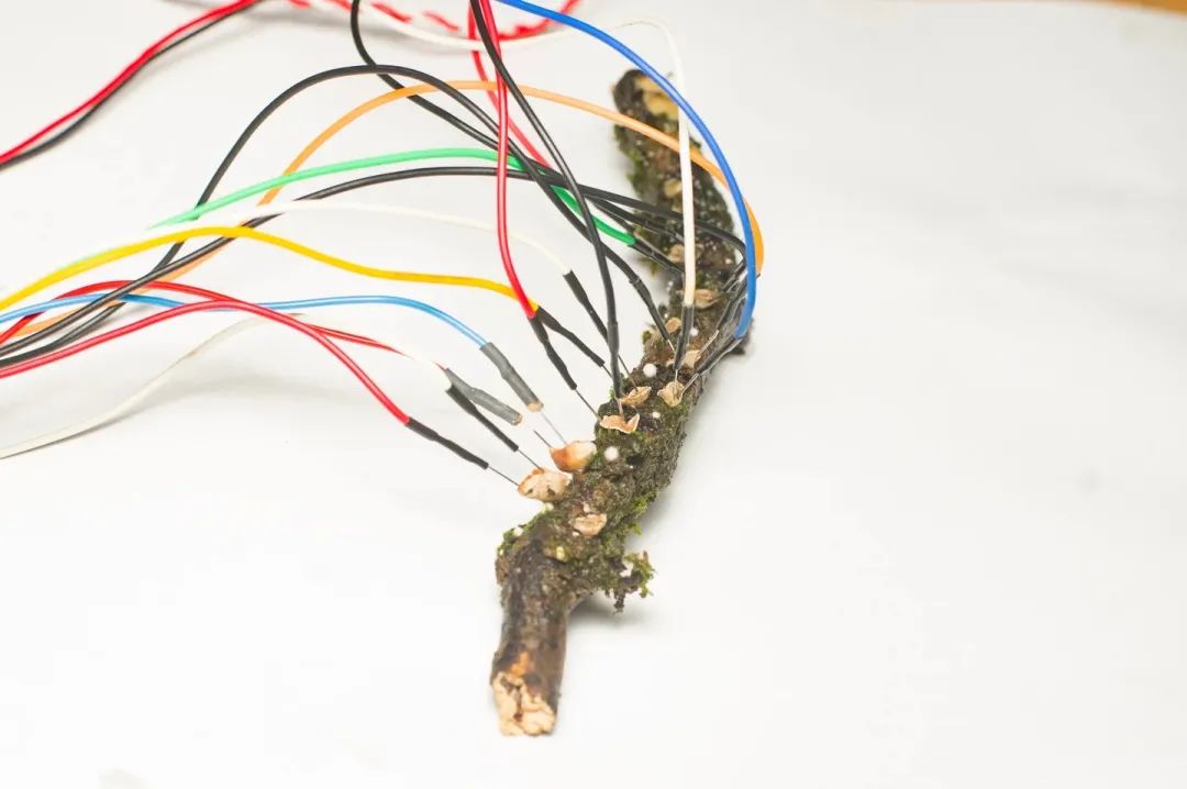 不用花钱就能买到小型电脑,如何买到适合自己的电脑