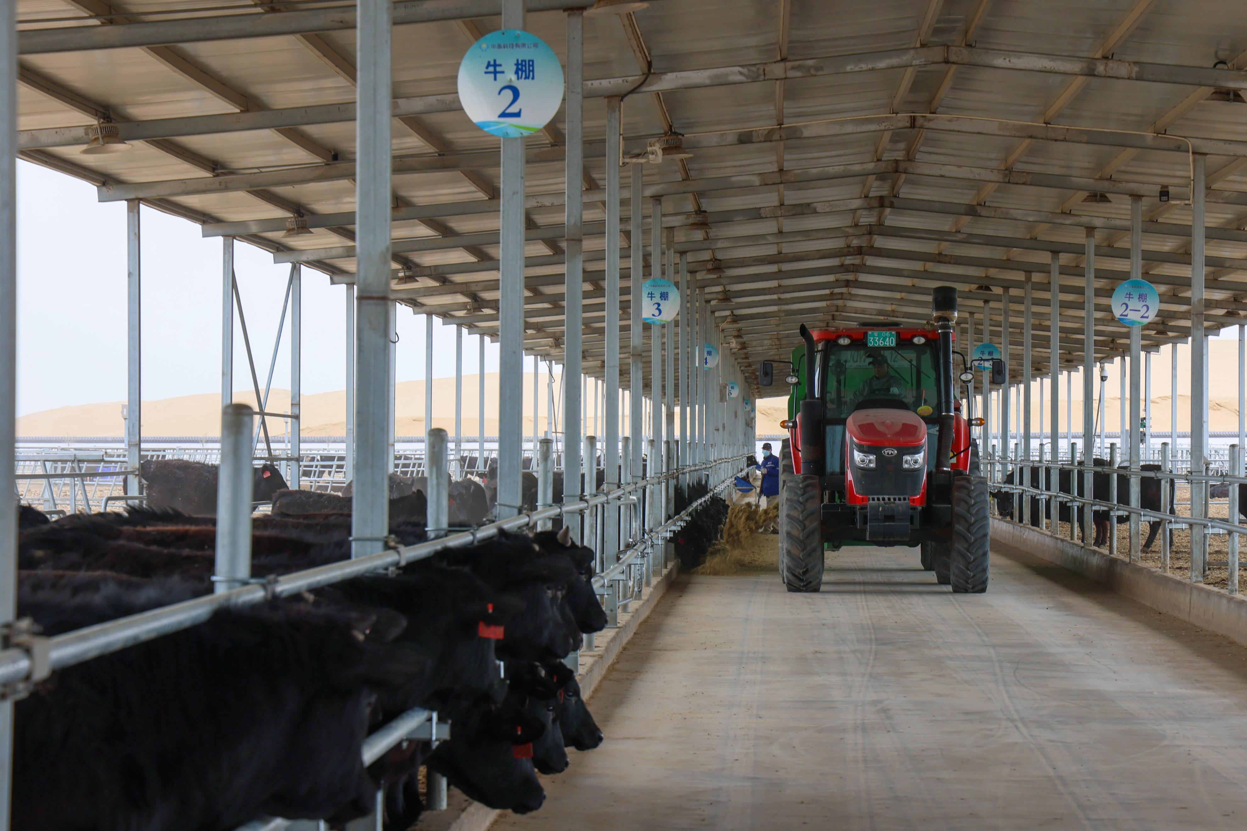 推动落实五大任务,推动五项管理落地见效