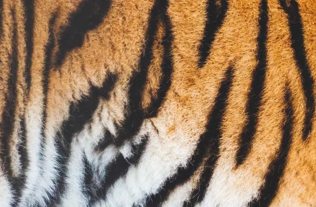 一辈子就这一种穿搭，一定要惊艳全场