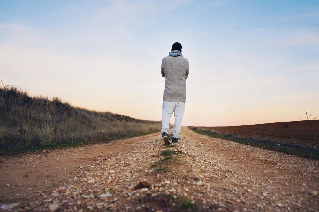 莫言的六世轮回,莫言六世轮回