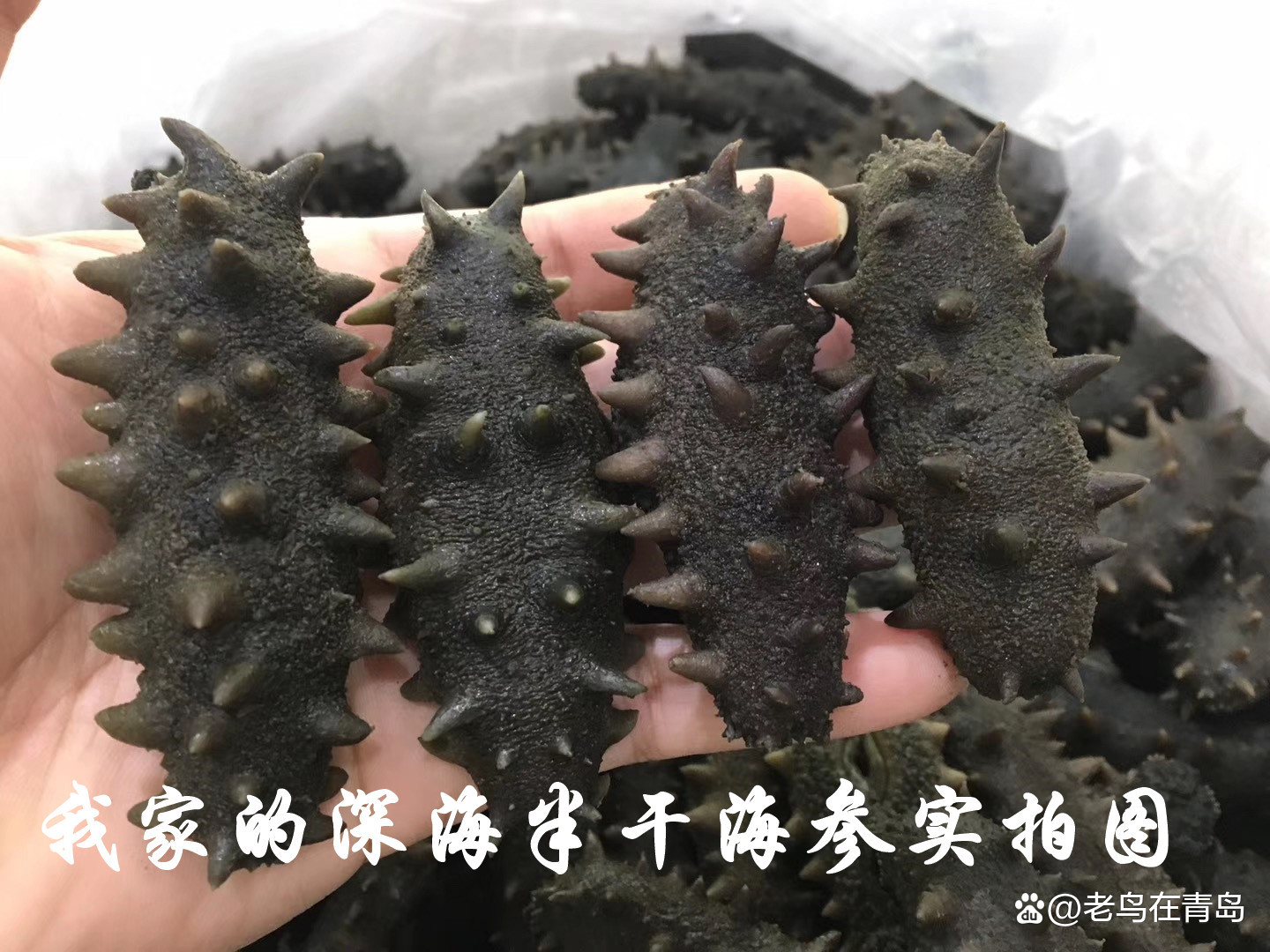 干海参价格分类标准对照表,淡干海参好的多少钱一斤