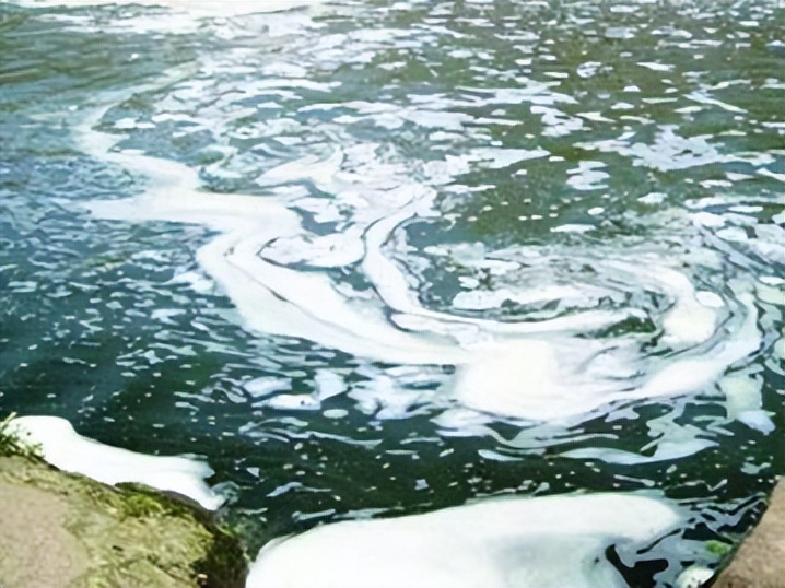 捕捞一晚获利上万,人工捕捞红虫违法吗