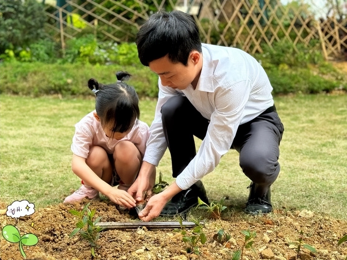 你们的小区绿化都是什么样的,小区绿化你觉得怎么样