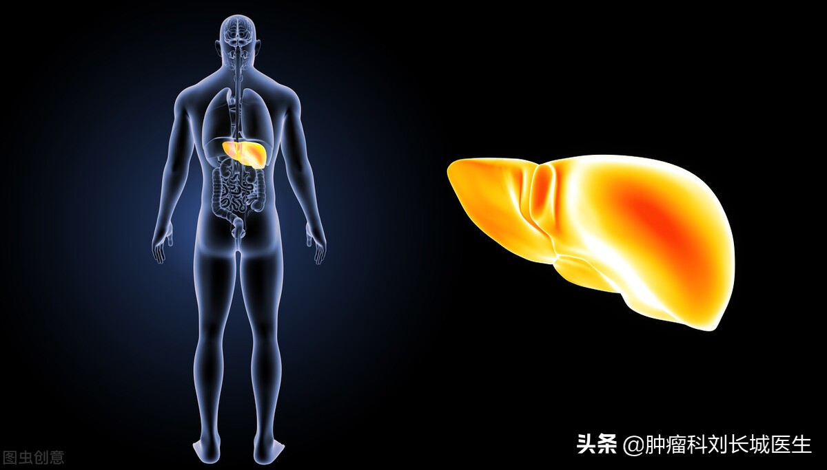 北京调理脂肪肝的中医专家,北京肿瘤中医专家刘长城