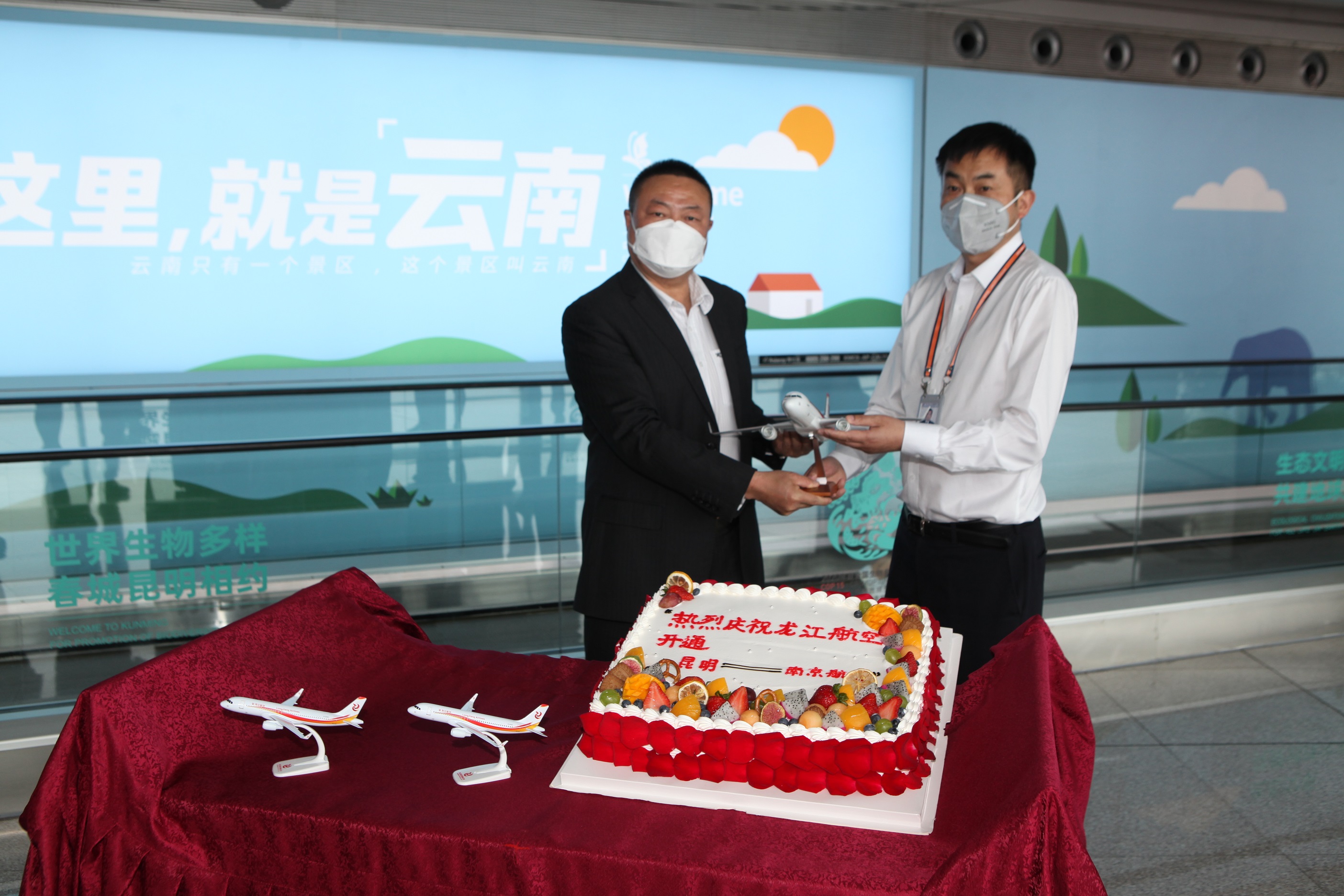 龙江航空哈尔滨航线,龙江航空飞海口