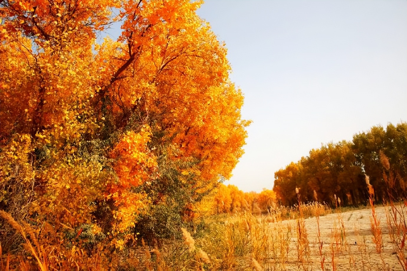 环游新疆15天,环游南疆8天攻略